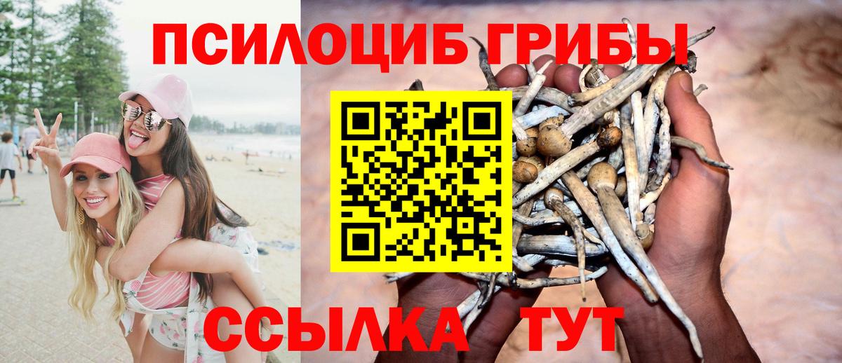 Усть-Джегута  Псилоцибиновые грибы GOLDEN TEACHER  Псилоцибиновые грибы мухоморы  Вход с VPN 