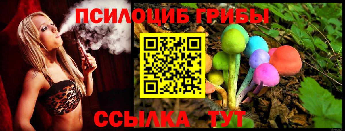 Псилоцибиновые грибы Psilocybe Усть-Джегута